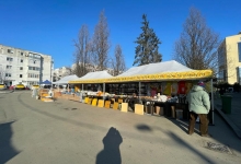Colectare Reciclare Deseuri Arad Colectare Anvelope Arad