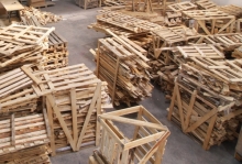 Colectare Reciclare Deseuri Floresti Colectare Deseuri Lemn Floresti - Nord Eco Solution